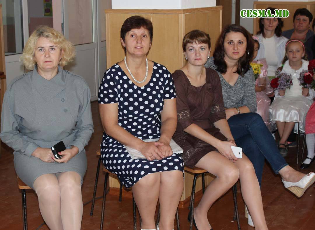 14599707_1238920919506169_2047182659_o