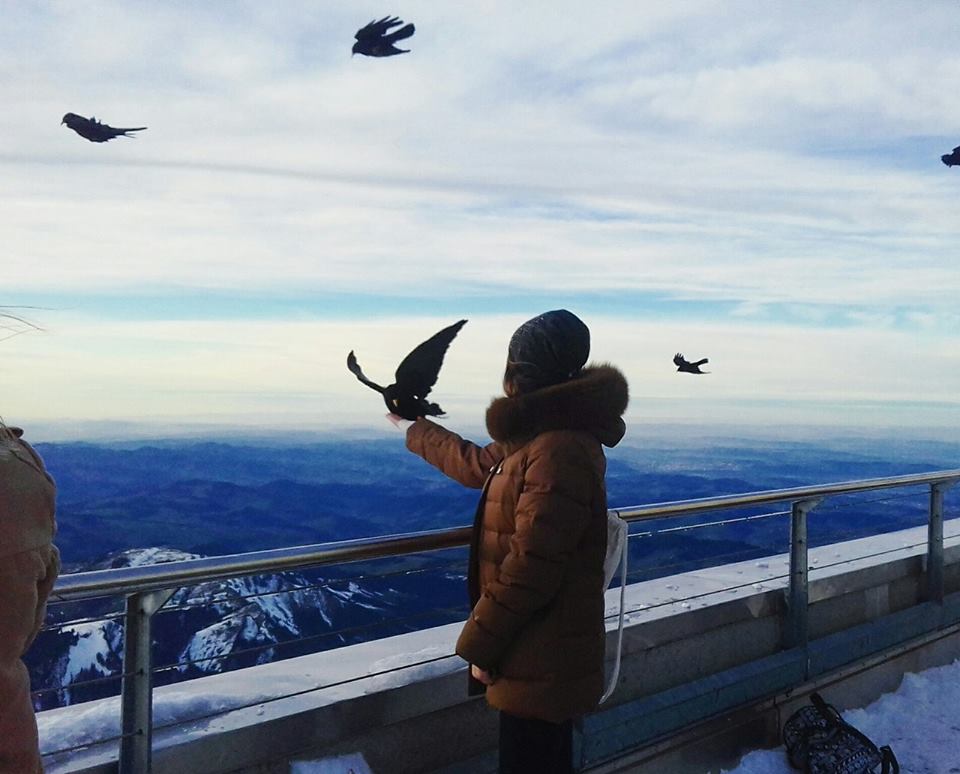 16128699_1857945114477279_457077142_n