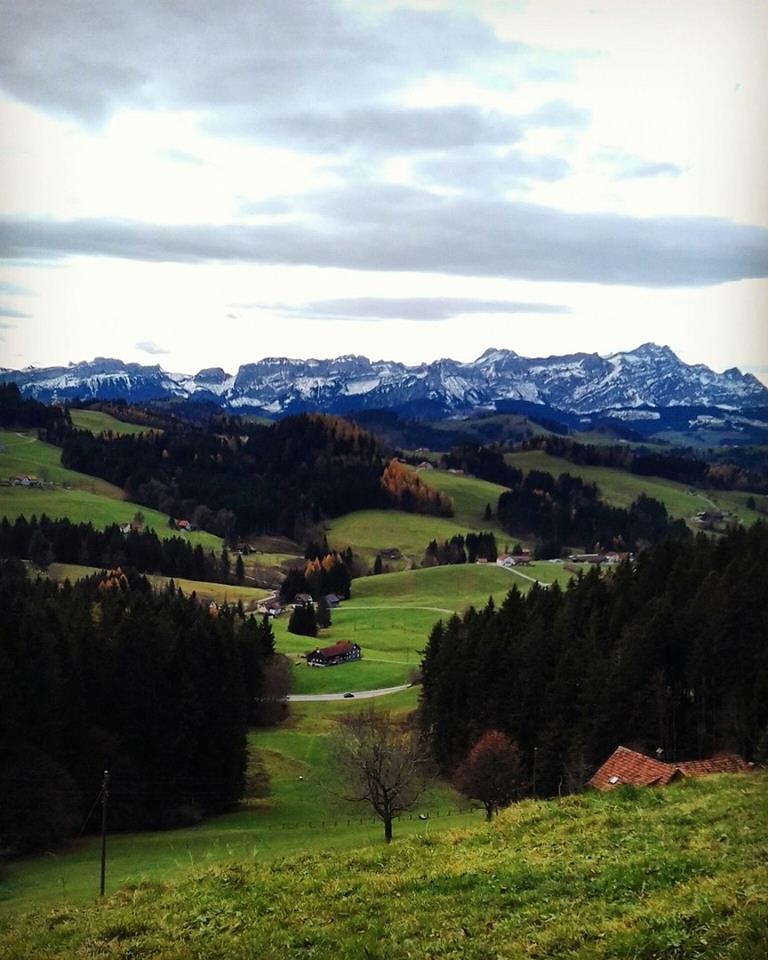 16144227_1857945111143946_581847233_n