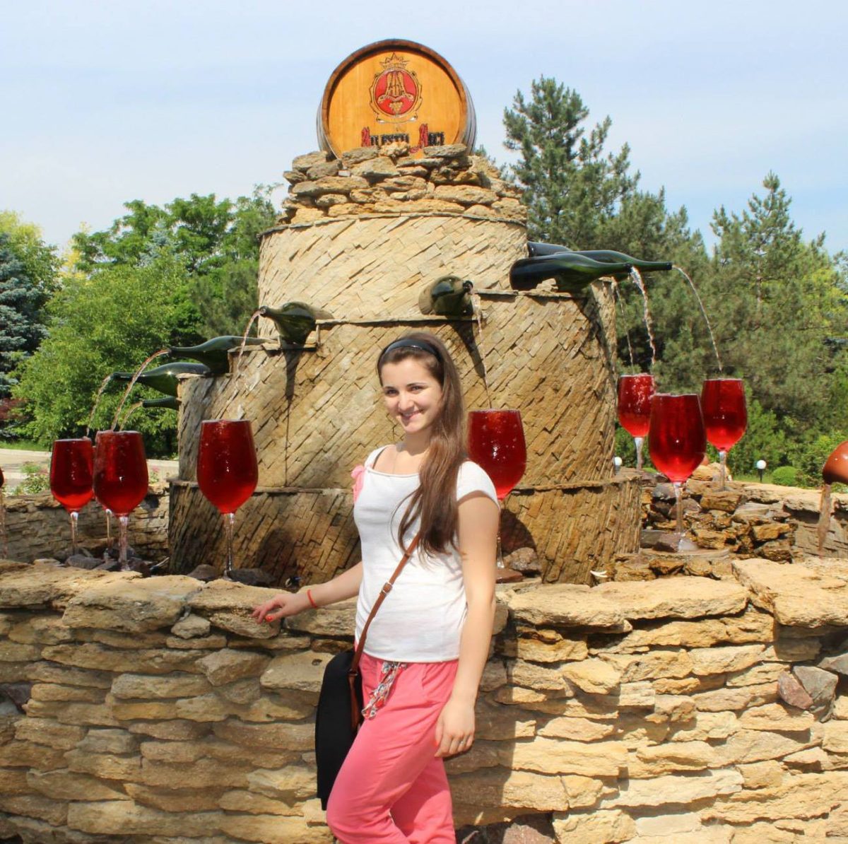 966587_535933206467444_1177473887_o